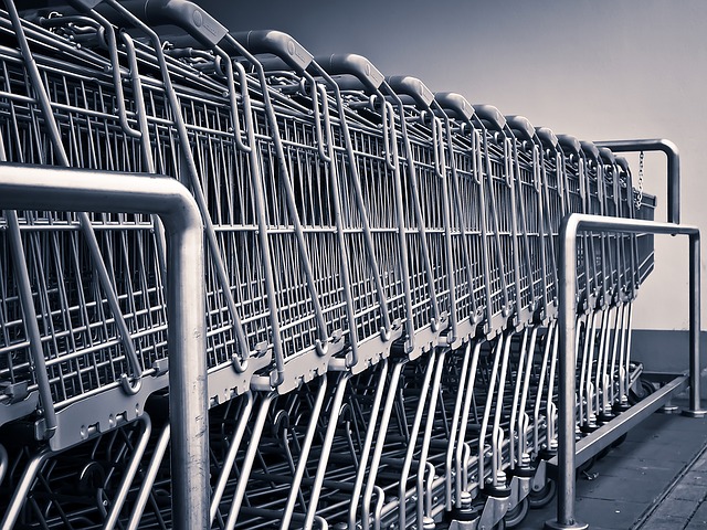 shopping cart - frugal shopper