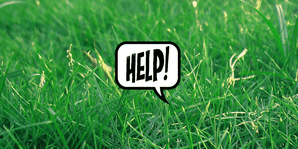 green grass help sign