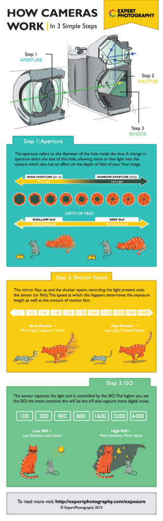 Cameras - Get a camera infographics