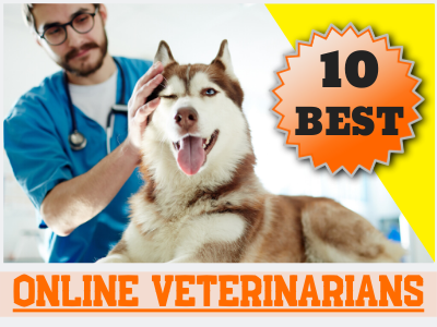 BEST ONLINE VET - BCR FEATURED