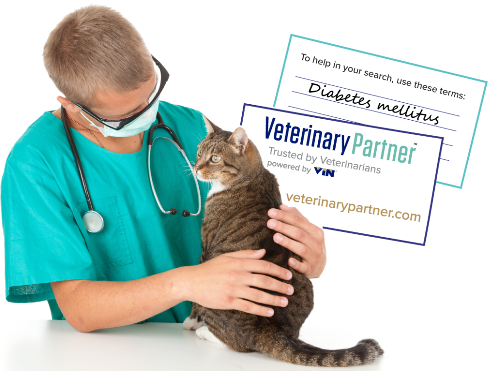 10 Best Online Veterinarians in 2021 Best Products Online