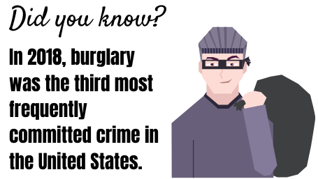 dome security cam fact