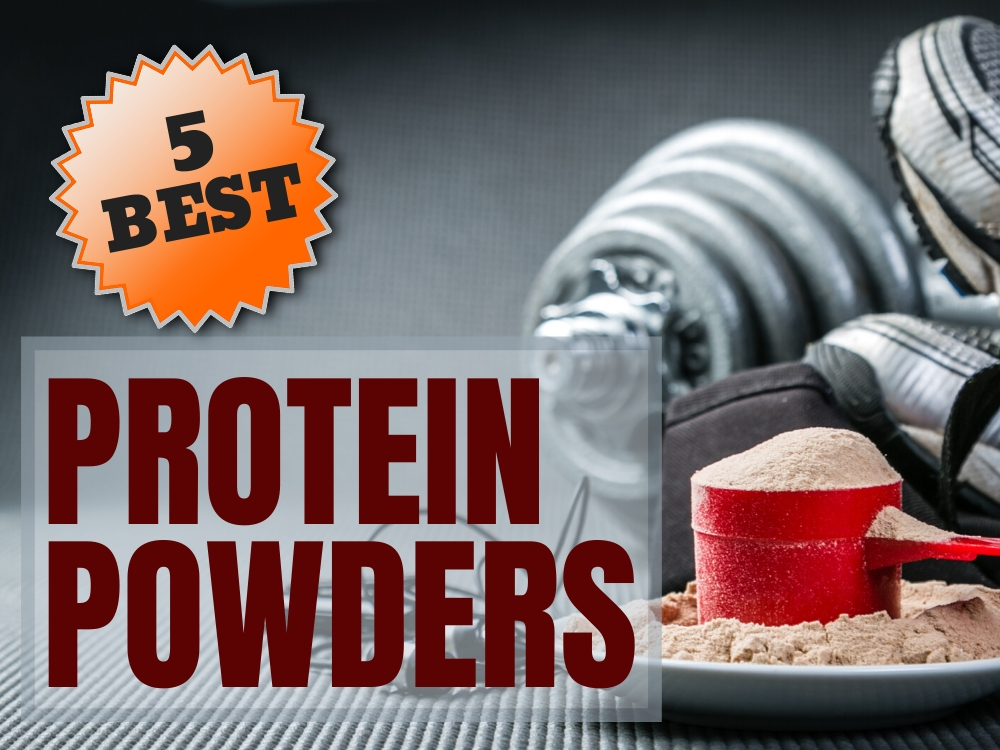 protein powder feature