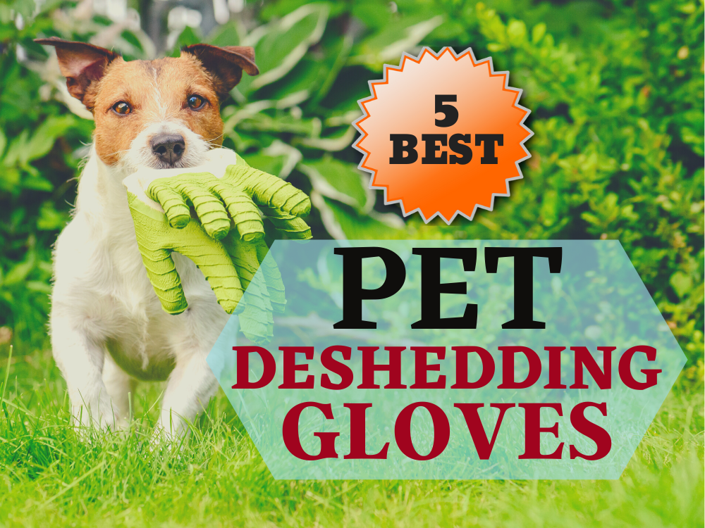 deshedding featured