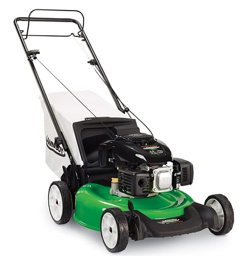 gas lawn mower 2