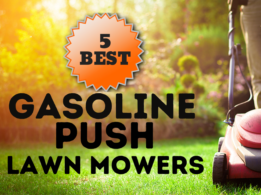 gas lawn mower featured